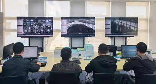 大連自貿片區創新引領 全國首例進口冷鏈食品防疫監管配套標準正式實施